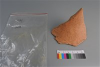 藏品(陶片)的圖片