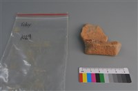 藏品(陶片)的圖片