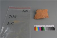 藏品(陶片)的圖片