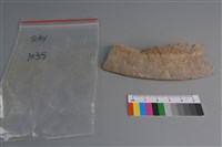 藏品(連杯形器)的圖片