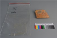 藏品(陶片)的圖片