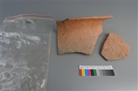 藏品(陶片)的圖片