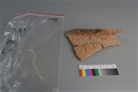 藏品(陶片)的圖片