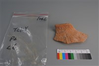 藏品(陶片)的圖片