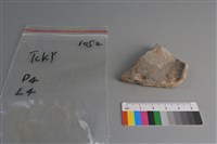 藏品(陶片)的圖片