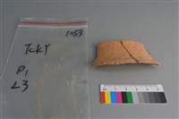 藏品(陶片)的圖片