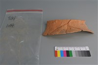 藏品(陶片)的圖片