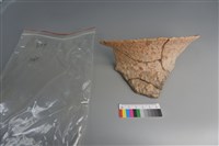 藏品(陶片)的圖片