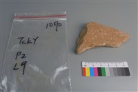 藏品(陶片)的圖片