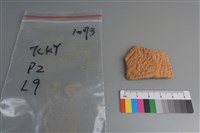 藏品(陶片)的圖片