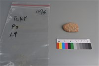 藏品(陶片)的圖片