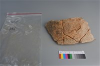 藏品(陶片)的圖片