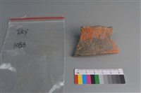 藏品(陶片)的圖片