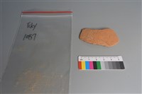 藏品(陶片)的圖片