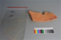 藏品(陶片)的圖片