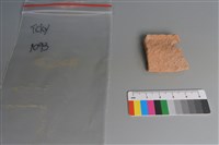 藏品(陶片)的圖片