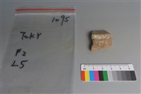 藏品(陶片)的圖片