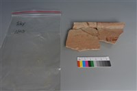 藏品(陶片)的圖片