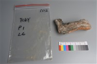 藏品(連杯形器)的圖片