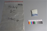 藏品(瓷片)的圖片
