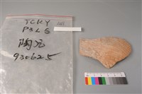 藏品(陶片)的圖片