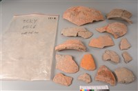 藏品(陶片)的圖片