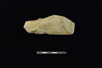 藏品(瓦)的圖片