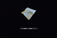 藏品(瓷片)的圖片
