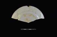 藏品(盤)的圖片