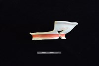 藏品(盤)的圖片