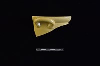 藏品(罐)的圖片