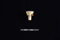 藏品(酒瓶塞)的圖片