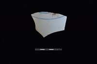 藏品(瓷片)的圖片