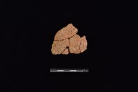 藏品(陶片)的圖片