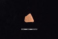 藏品(陶片)的圖片