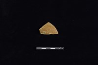 藏品(硬陶片)的圖片