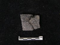 藏品(陶片)的圖片