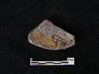 藏品(陶片)的圖片