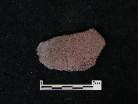 藏品(陶片)的圖片