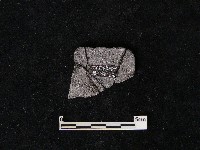 藏品(陶片)的圖片