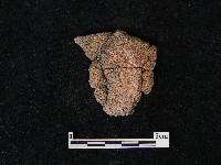 藏品(陶片)的圖片