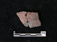 藏品(陶片)的圖片