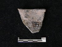 藏品(陶片)的圖片