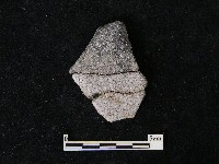 藏品(陶片)的圖片