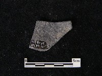 藏品(陶片)的圖片