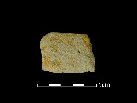 藏品(石刀)的圖片