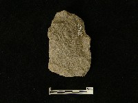 藏品(磨製石器)的圖片