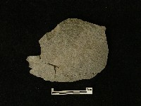 藏品(石片器)的圖片