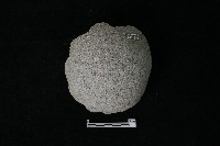 藏品(砍砸器)的圖片