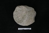 藏品(石核)的圖片